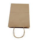 Rectangle Twisted Handle Paper Bags None Pattern Type For Unisex